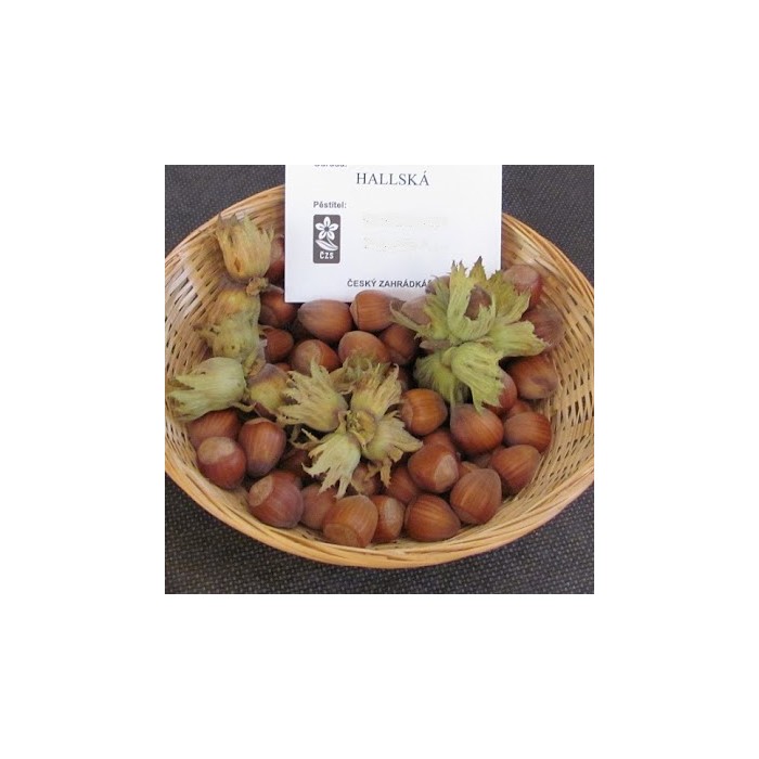 #0463 hallska11