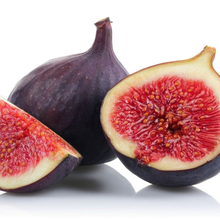 Violette-de-Bordeaux-Fig-Tree_1