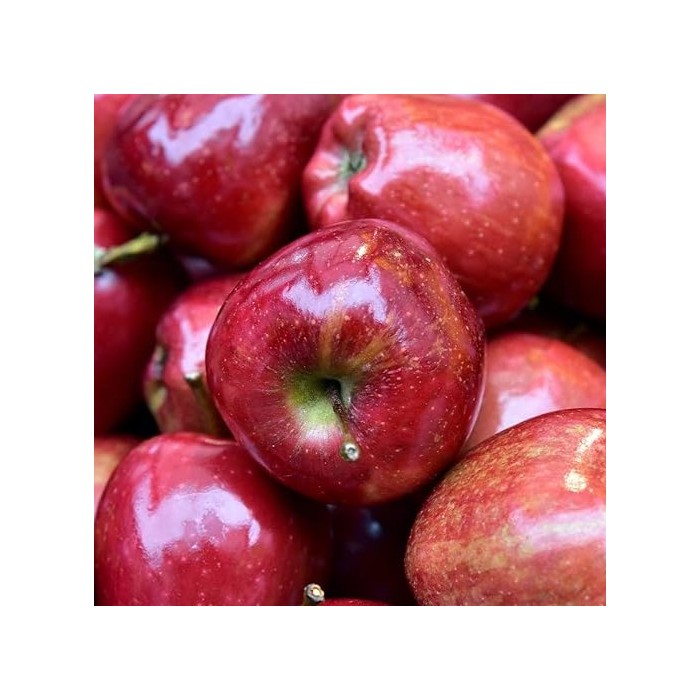 top red delicious